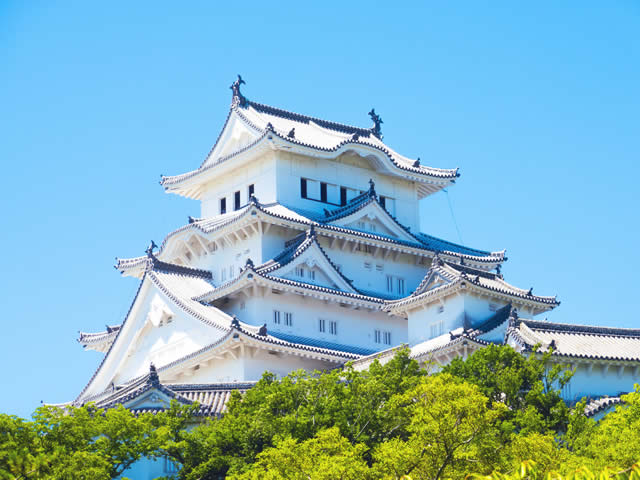 姫路市・明石市・加古川市など郊外部